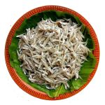 কাচকি মাছ